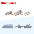 Double Frequency Controlled Pillow Type Automatic Packing Machine